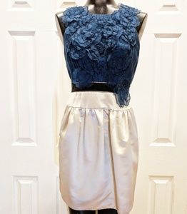 BCBGMaxazria silk organza Cocktail dress